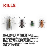 Raid House & Garden Bug Killer Spray Indoor-Outdoor | Pick Up In Store ...