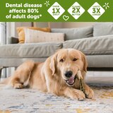WHIMZEES by Wellness Natural Grain Free Long Lasting Dental Dog Treats, Daily Use Packs, Medium Brushzees, 7ct, thumbnail image 4 of 6